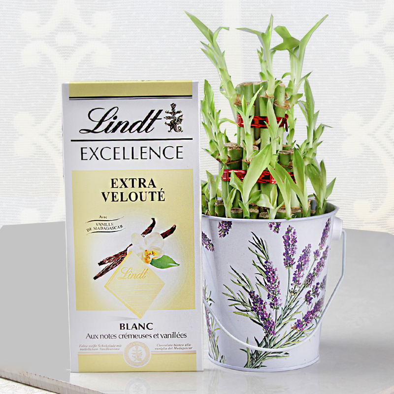 Lindt Chocolates and Good Luck Plant