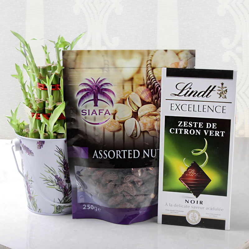 Chocolates and Good Luck Plant Combo