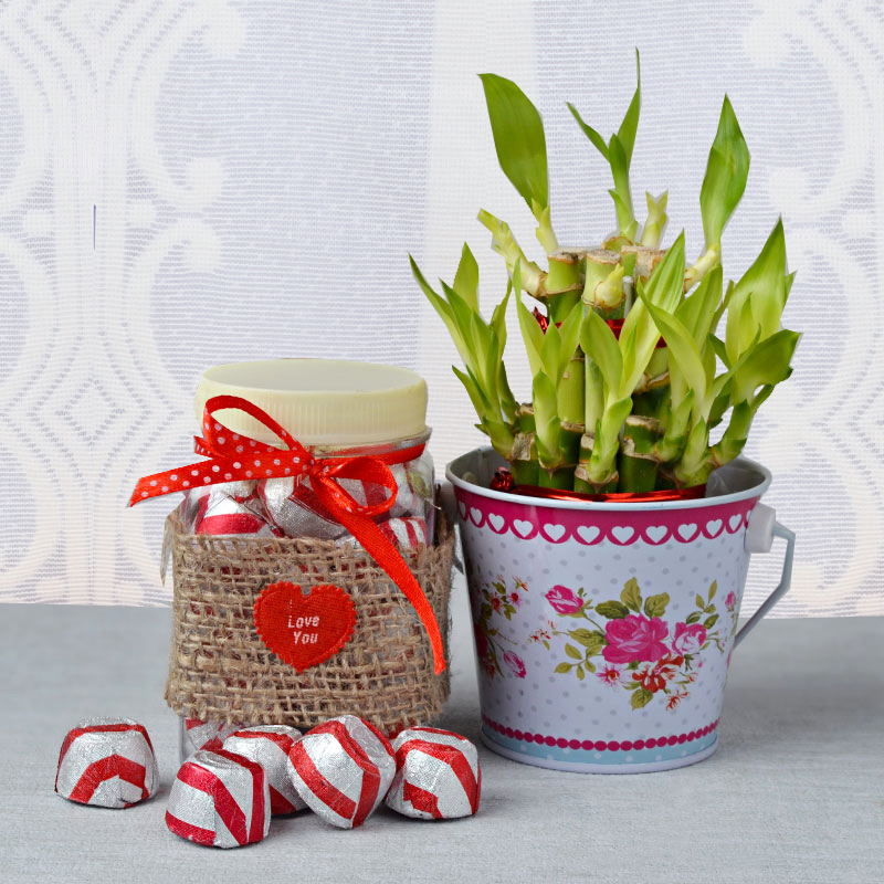 Homemade Chocolate with Bamboo Plant