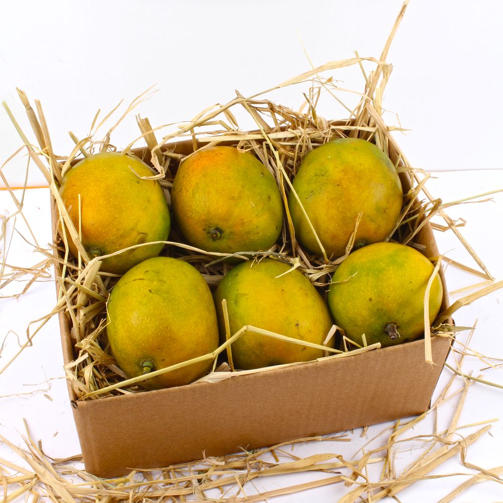 Paheri Mangoes in Box