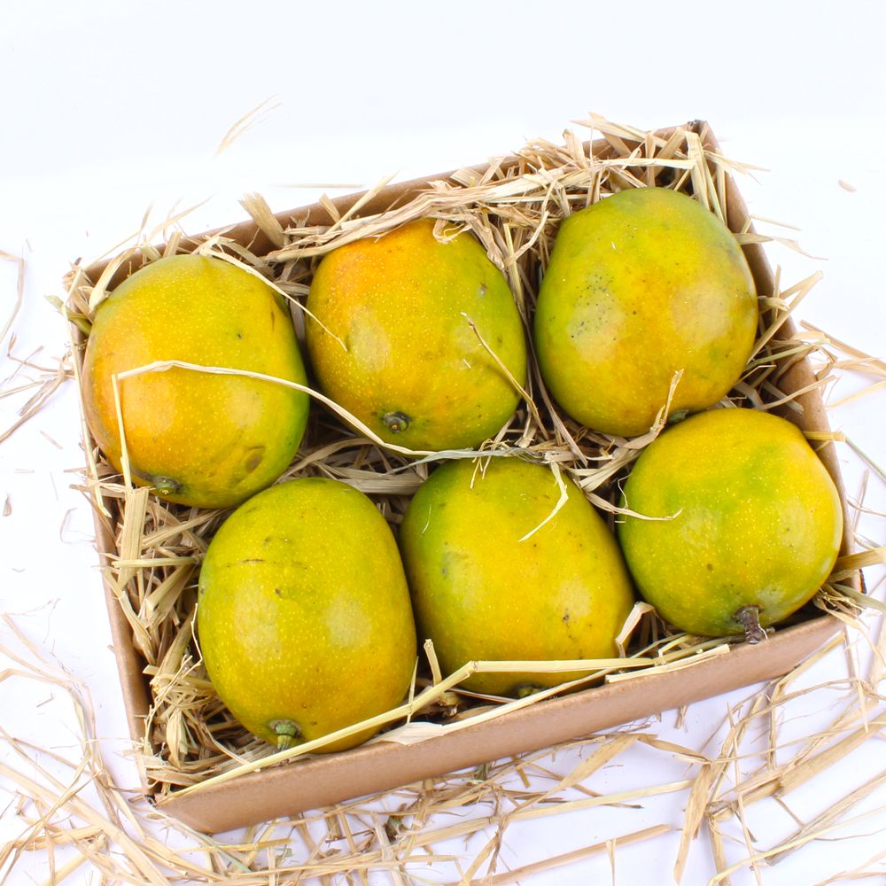 Paheri Mangoes in Box