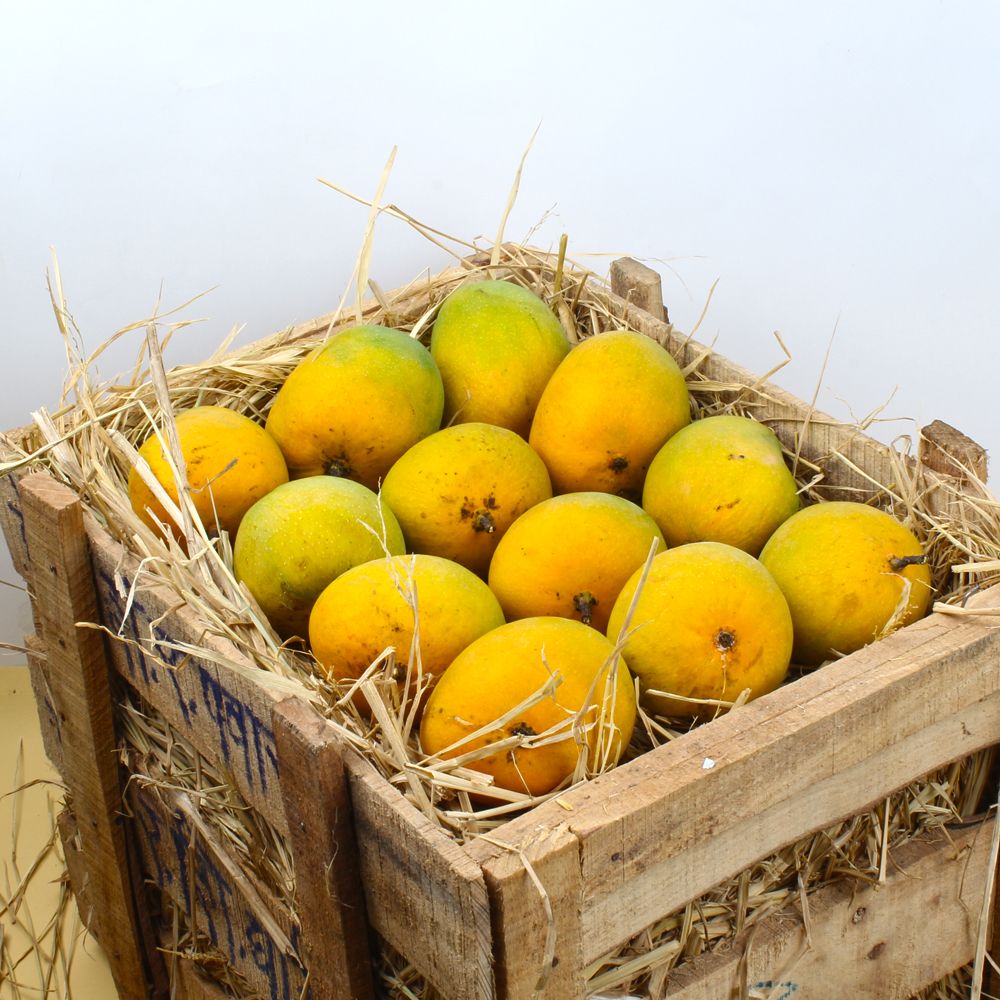 Three Dozen Alphonso Mangoes