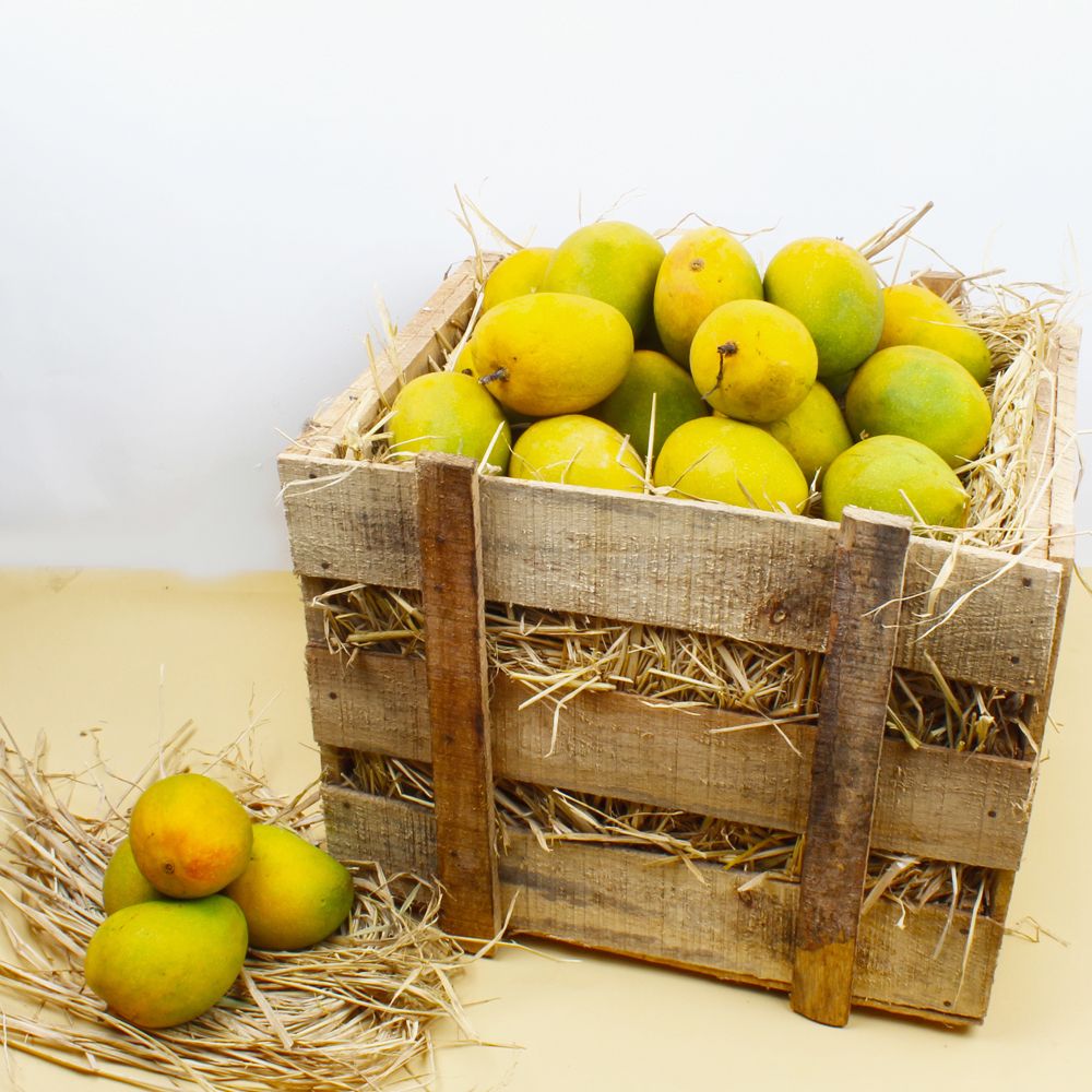 Delicious Alphonso Mangoes in Box