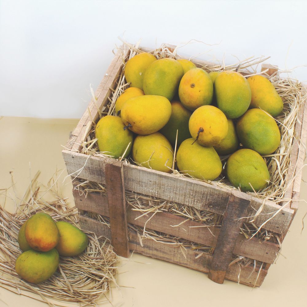 Delicious Alphonso Mangoes in Box