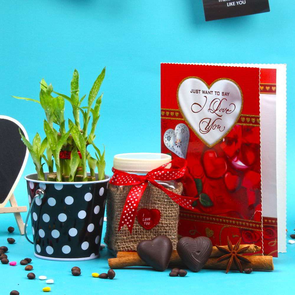 Valentines Day Special Chocolate and Good luck Bamboo Plant Combo
