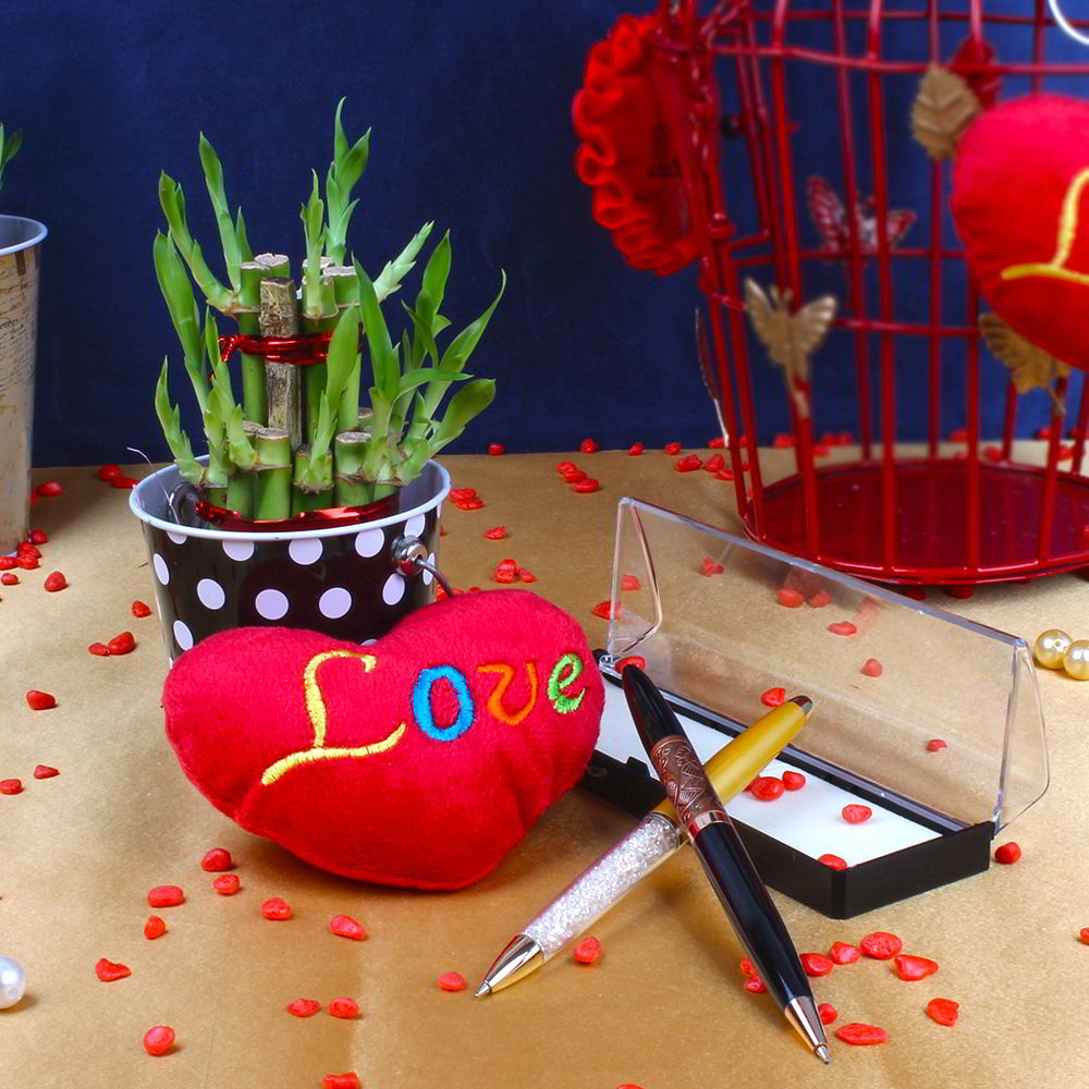 Good Luck Plant with Love Small Heart and Pen Combo