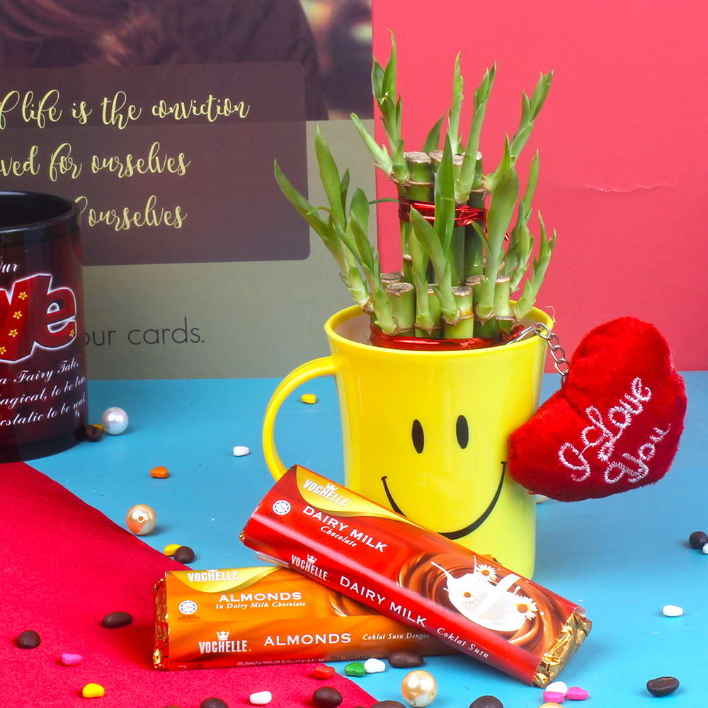 Goodluck Bamboo Plant with Vochelle Chocolate Bar