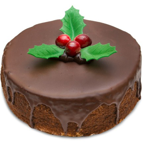 Simple Chocolate Sponge Cake