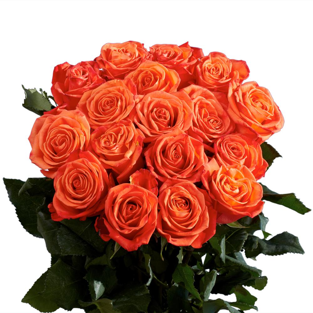 Bouquet of Fresh 35 Orange Roses