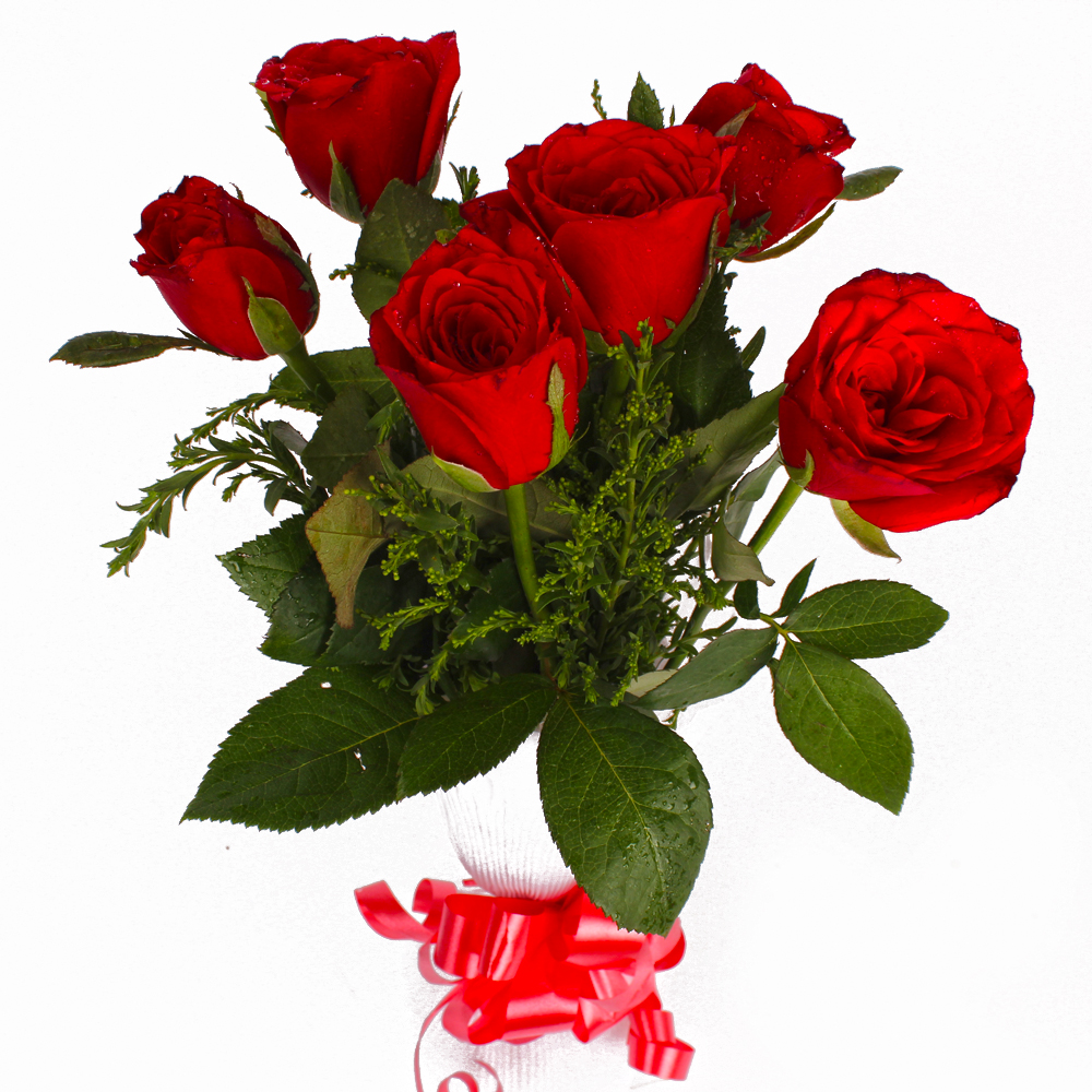 Six Red Roses with Tissue Wrapped