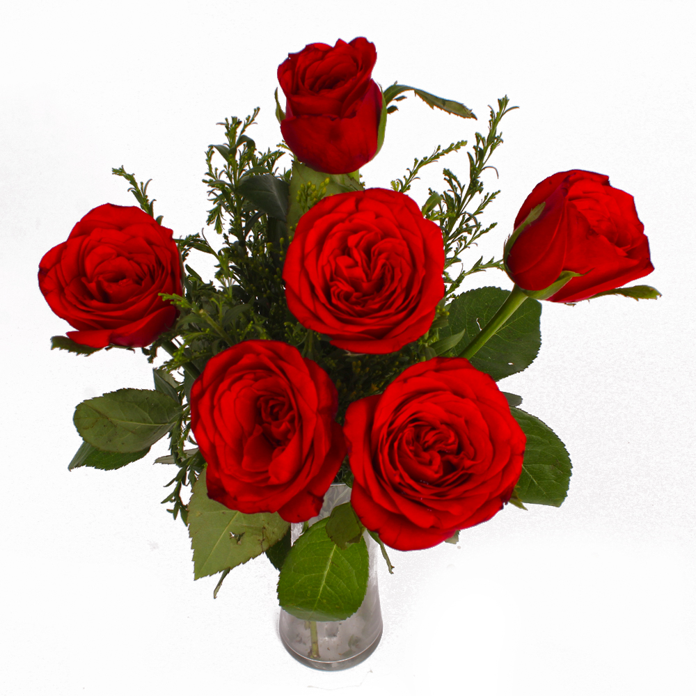Romantic Six Red Roses in Vase