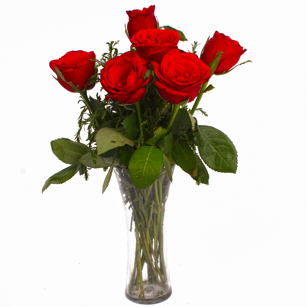 Romantic Six Red Roses in Vase