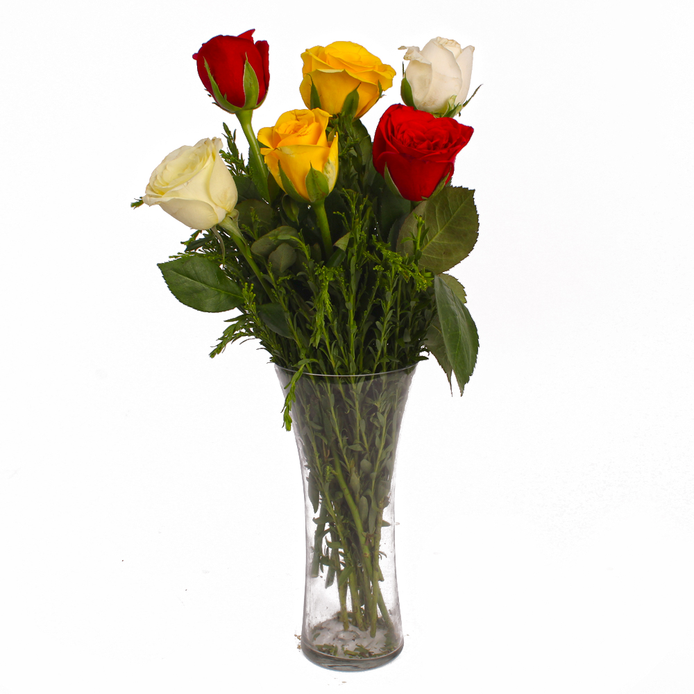 Glass Vase of Six Multi Color Roses