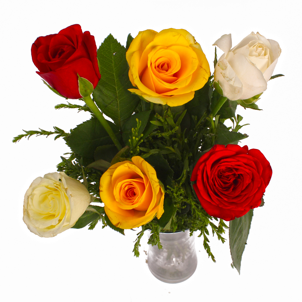 Glass Vase of Six Multi Color Roses