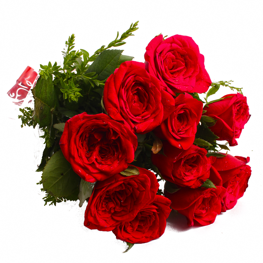 Ten Red Roses Bouquet Cellophane Wrapped
