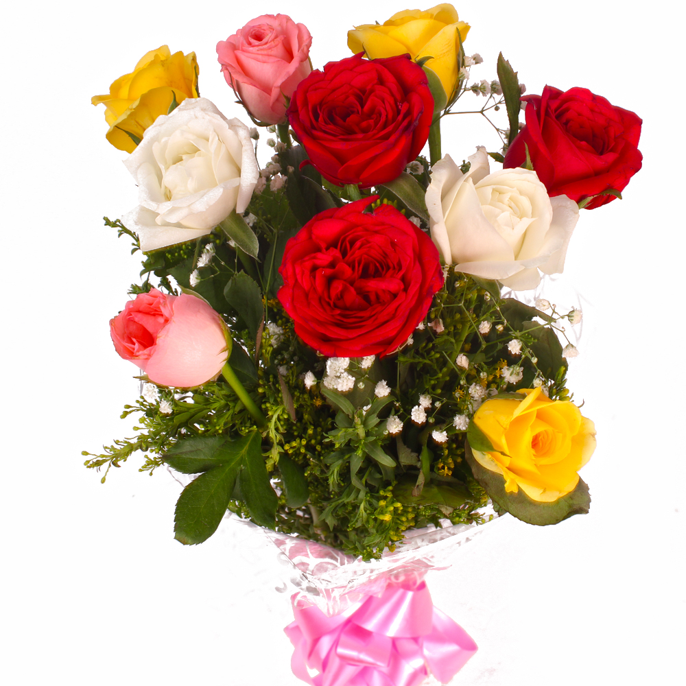 Beauty of Ten Mix Roses Cellophane Wrapped