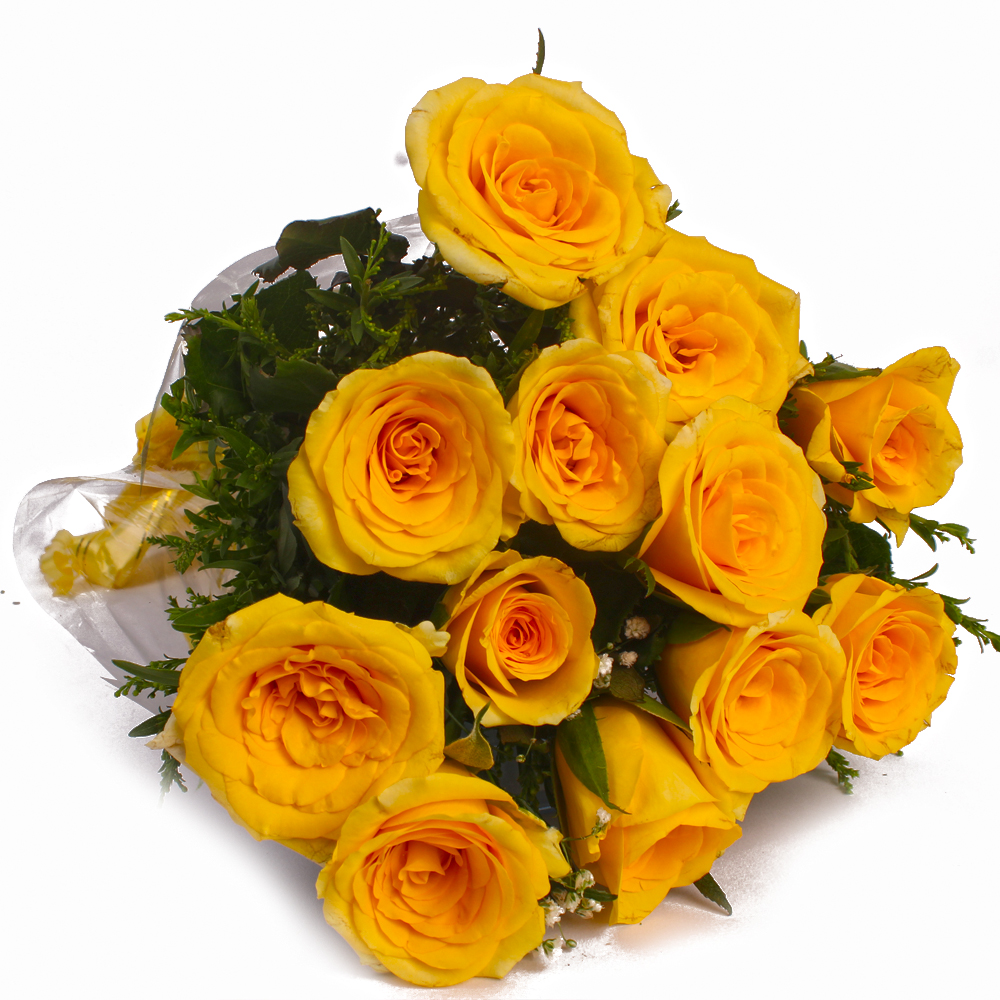 Dozen Yellow Roses in Cellophane Wrapped