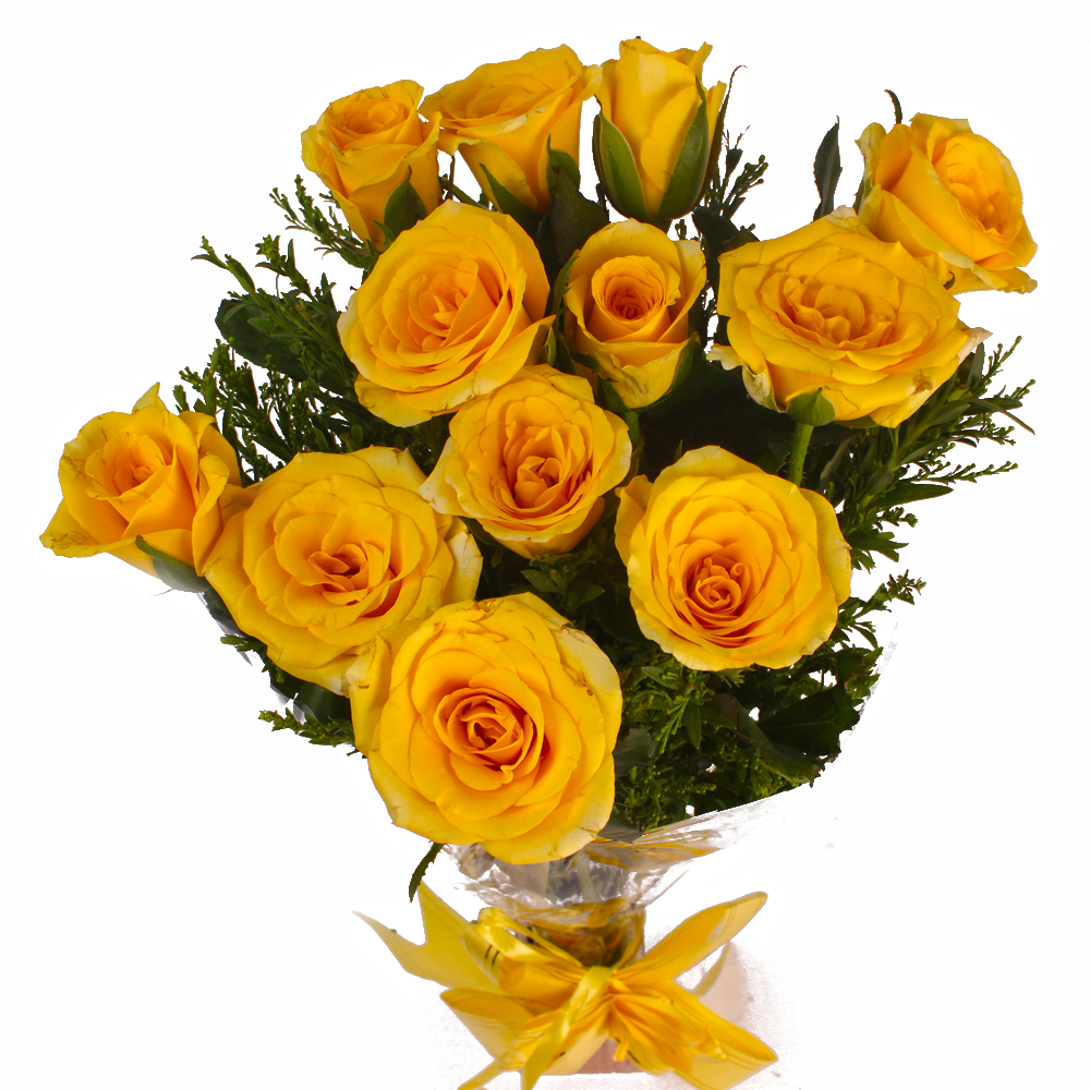 Dozen Yellow Roses in Cellophane Wrapped