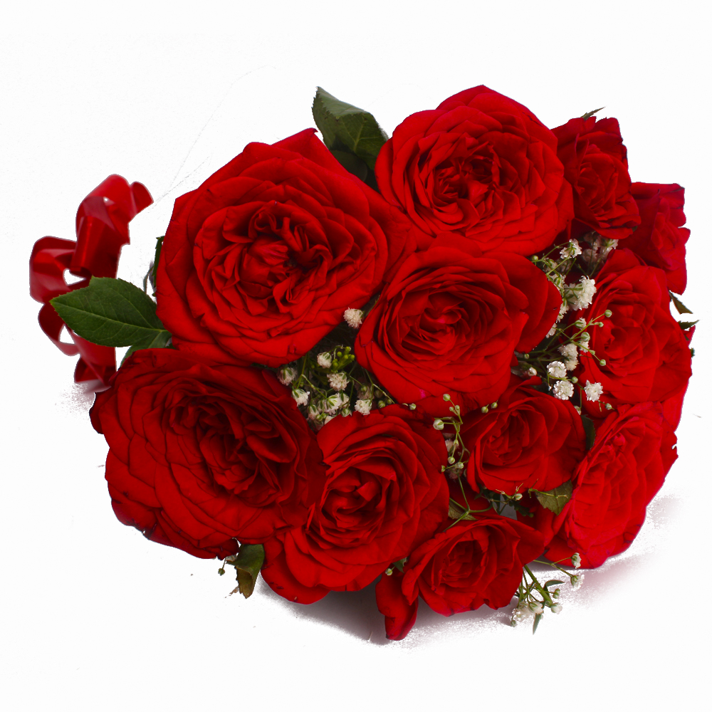 Radiant 12 Red Roses Bouquet with Tissue Wrapped
