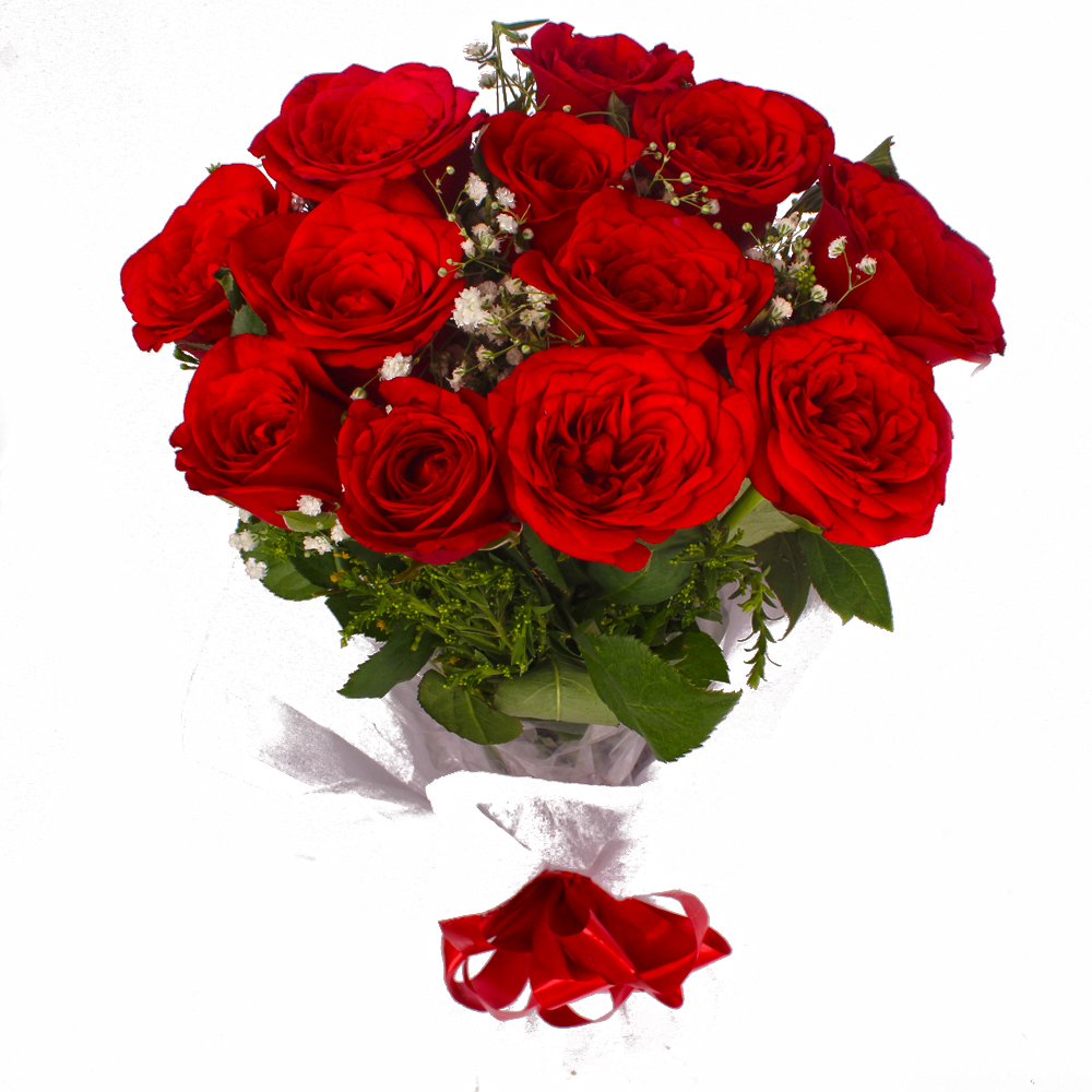 Radiant 12 Red Roses Bouquet with Tissue Wrapped