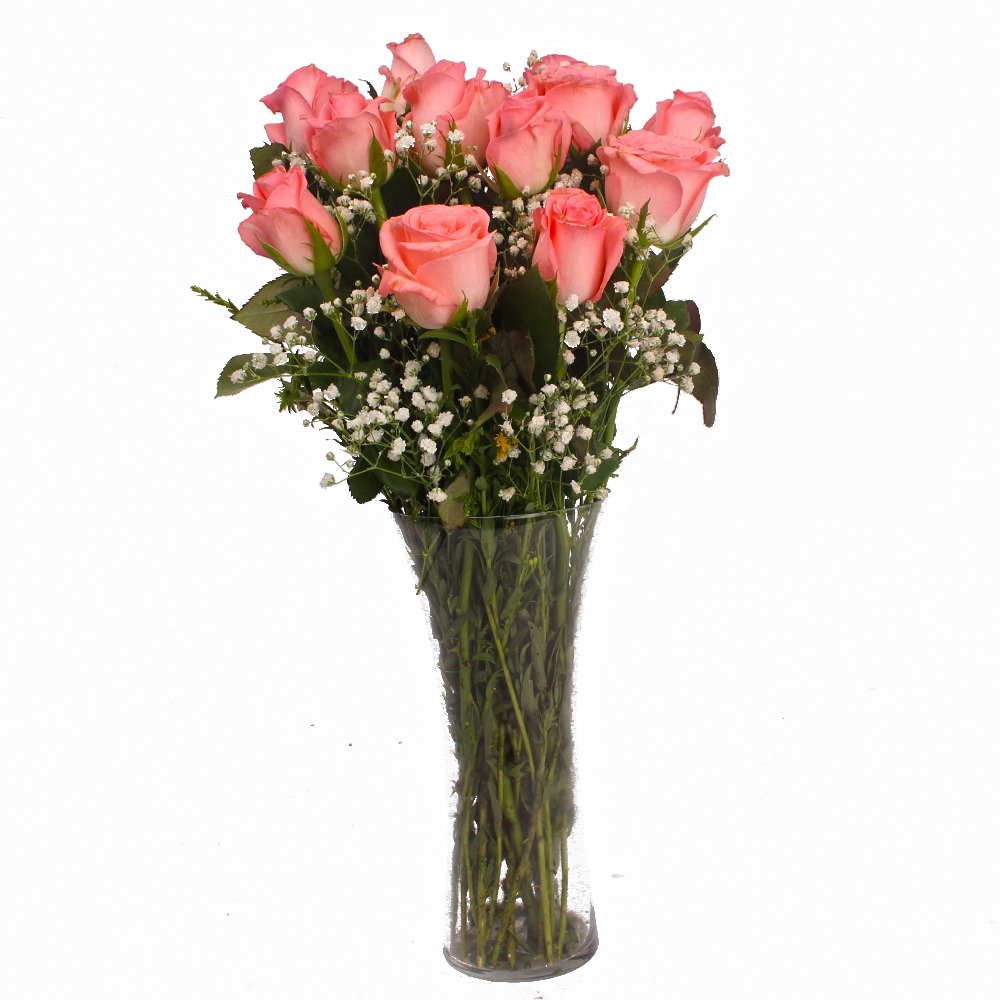 Pleasing Vase with 12 Pink Roses
