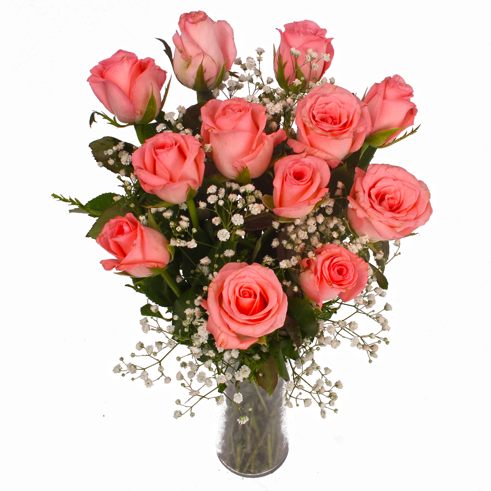 Pleasing Vase with 12 Pink Roses