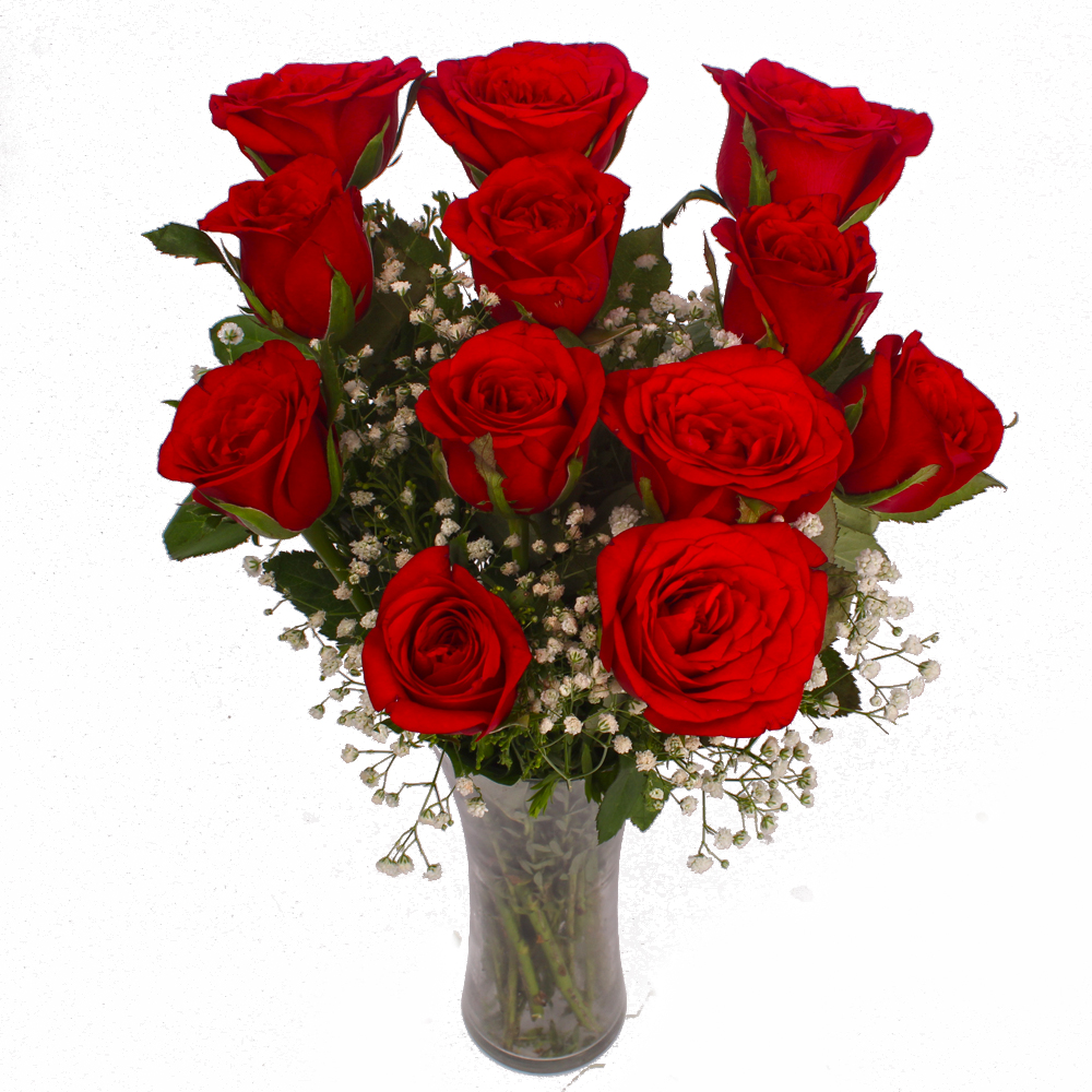 Infatuation in Love with 12 Red Roses Vase