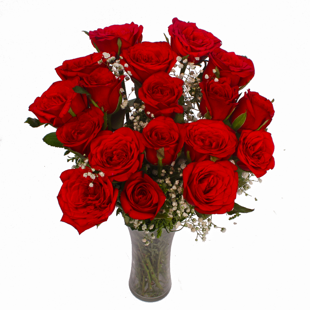 Elegant Eighteen Red Roses in Vase