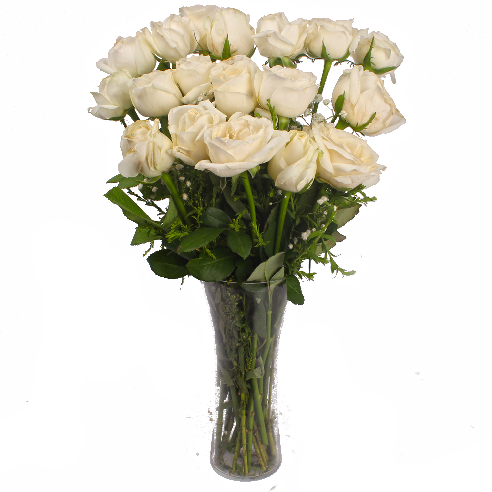 Sober Look Vase of White Roses