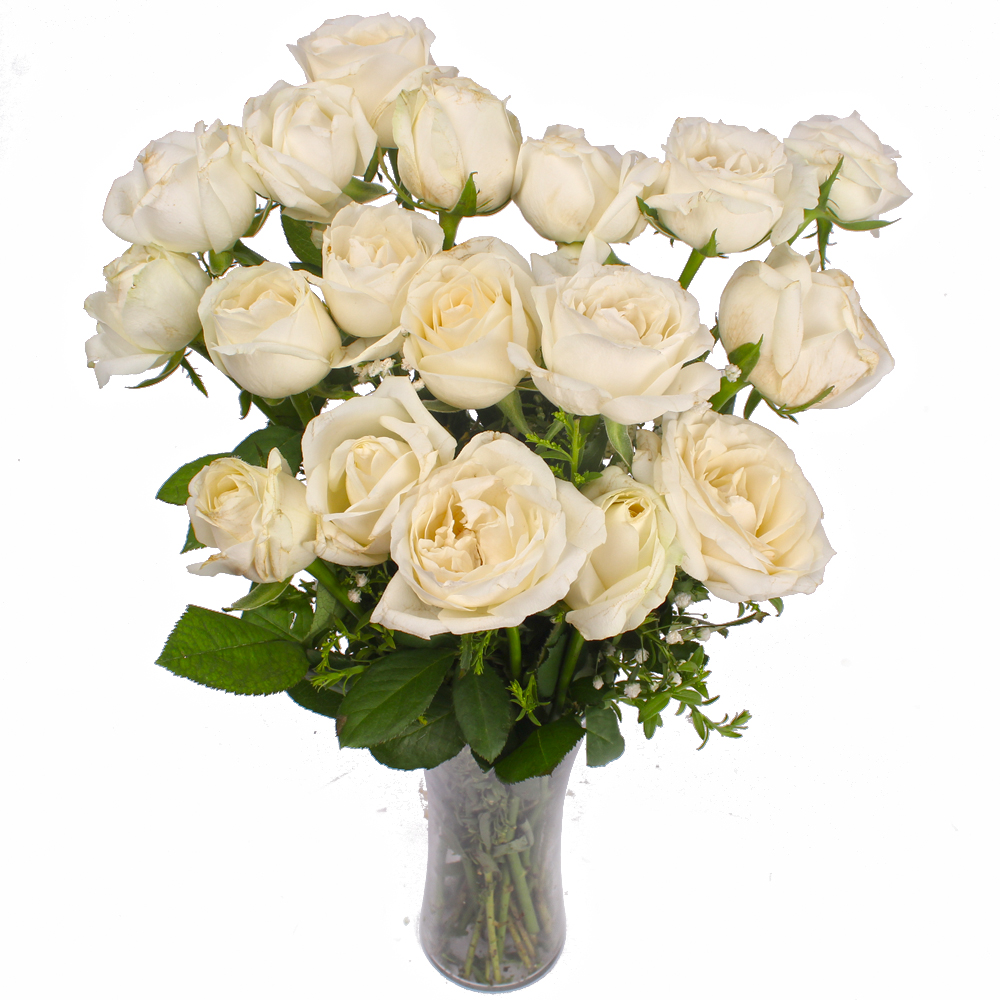 Sober Look Vase of White Roses