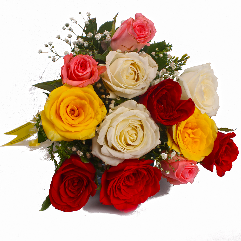 Dozen Mix Roses in Cellophane Wrapped