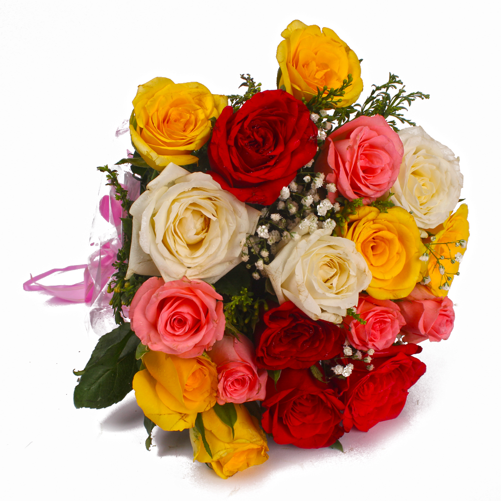 Eighteen Colored Roses in Cellophane Wrap Bunch