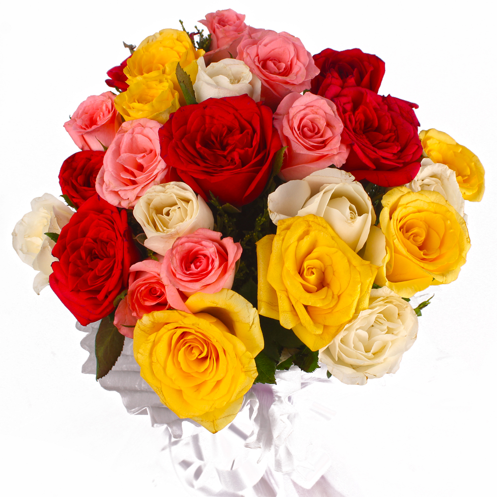 24 Mix Color Roses in Tissue Wrapped