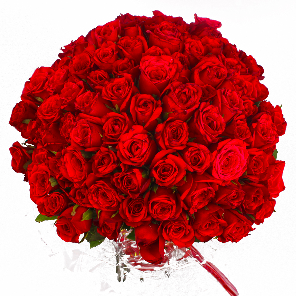 Fresh 100 Red Roses Bouquet with Cellophane Packing