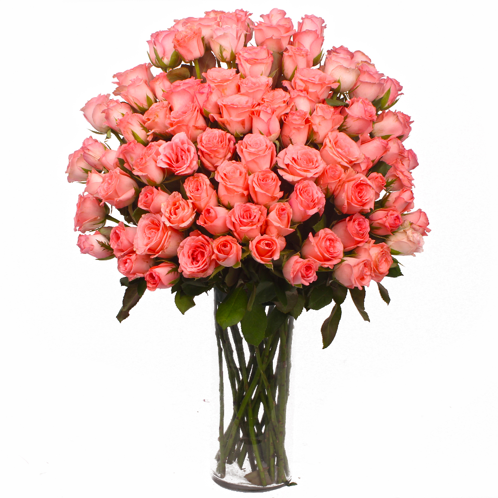 Vase Cointaing 100 Pink Roses