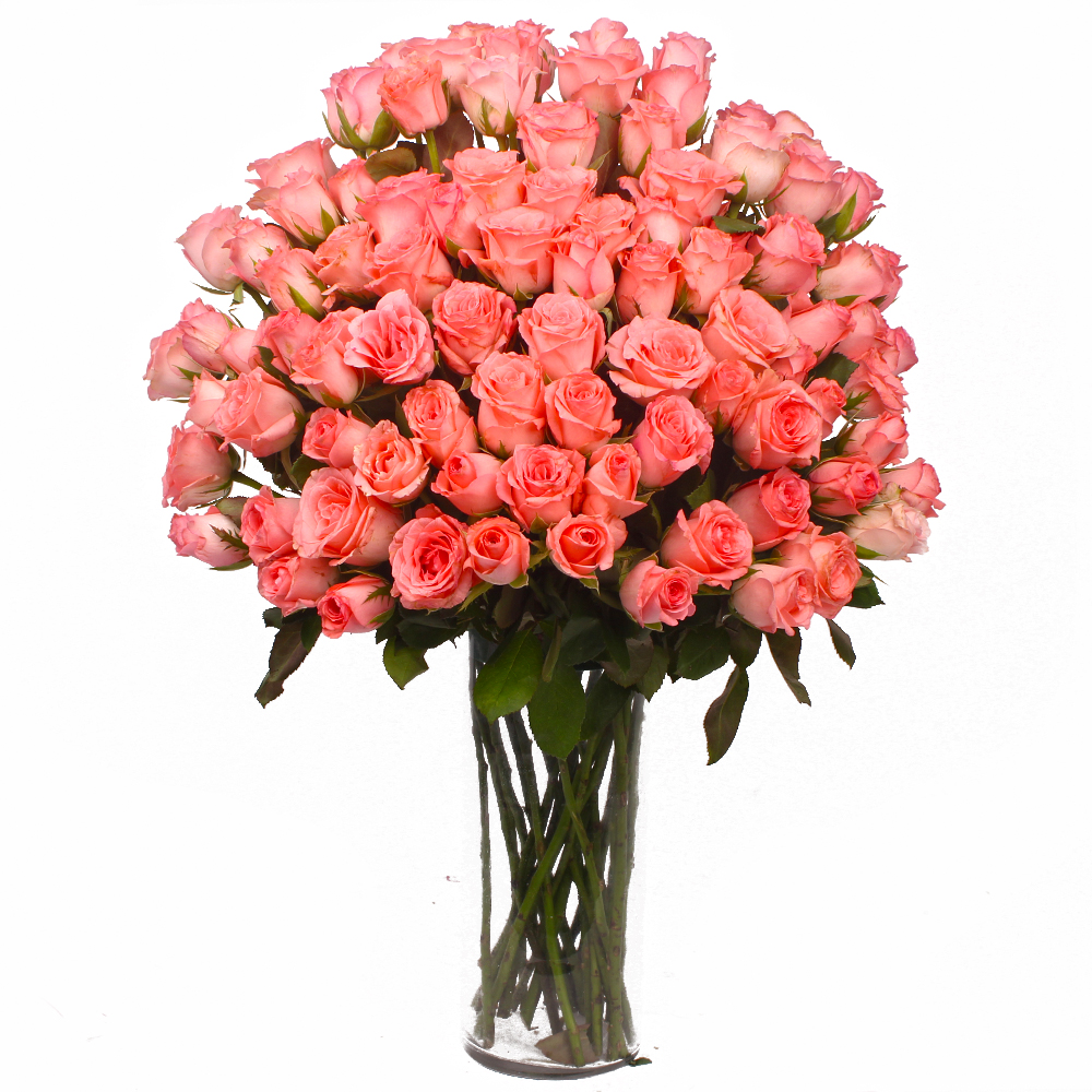 Vase Cointaing 100 Pink Roses