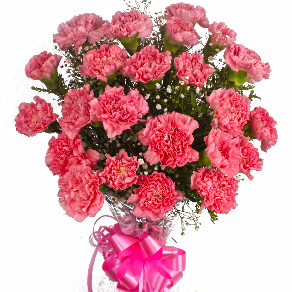 Two Dozen Pink Carnations Bouquet