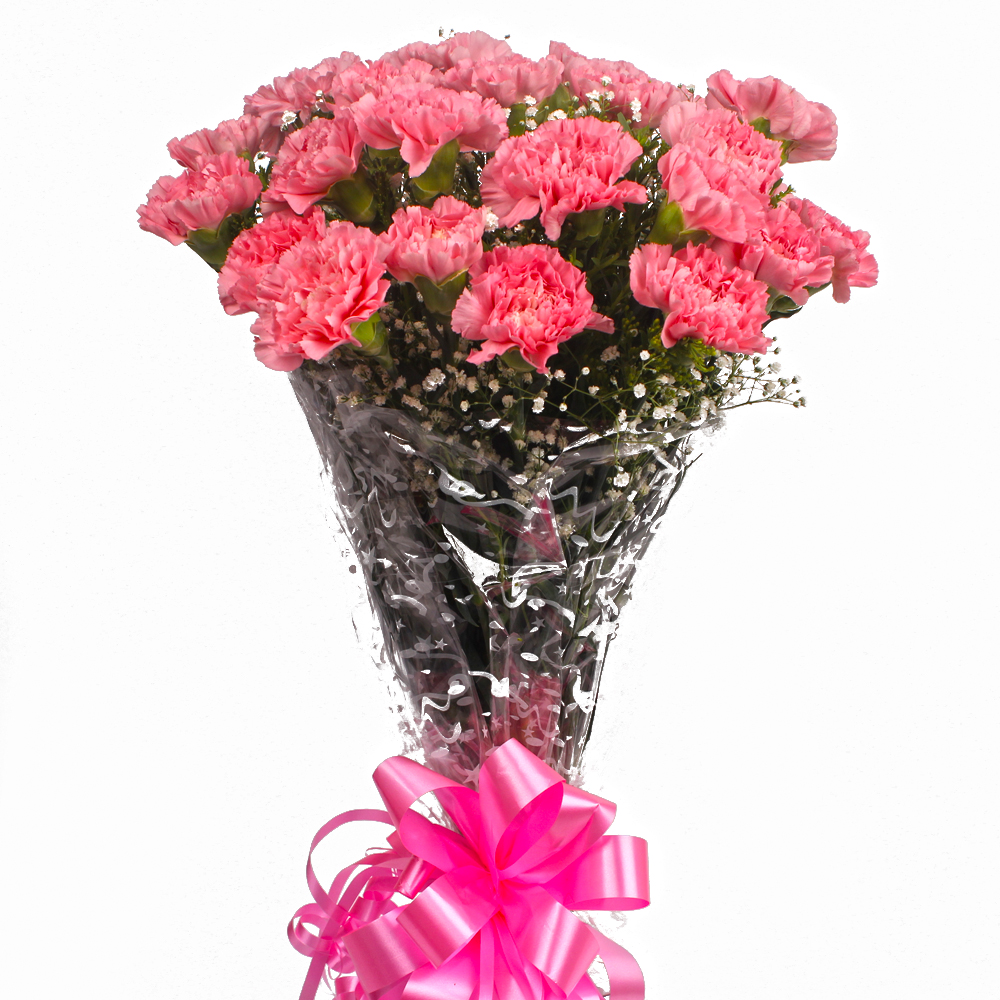 Two Dozen Pink Carnations Bouquet