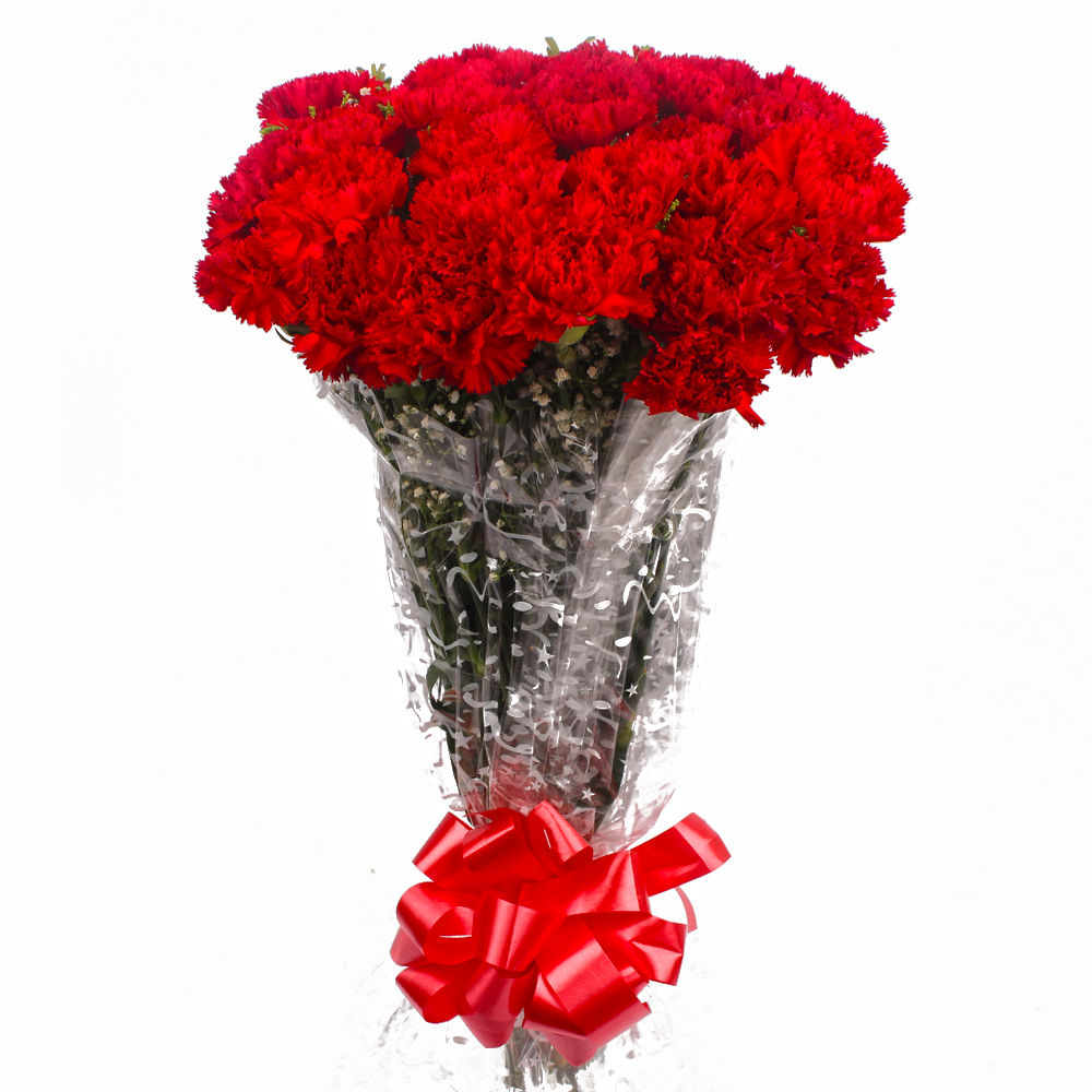 Romance Remindering Red Carnations Bouquet