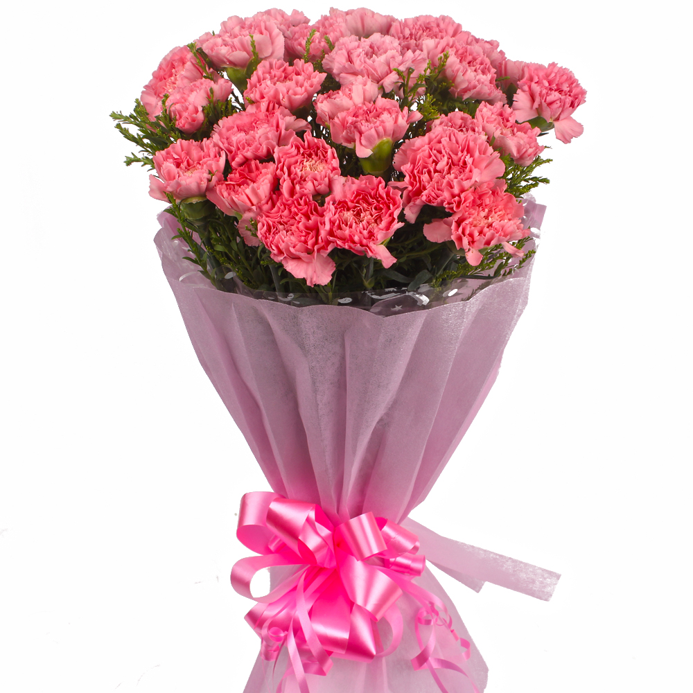 Elegant 25 Pink Carnations Bouquet