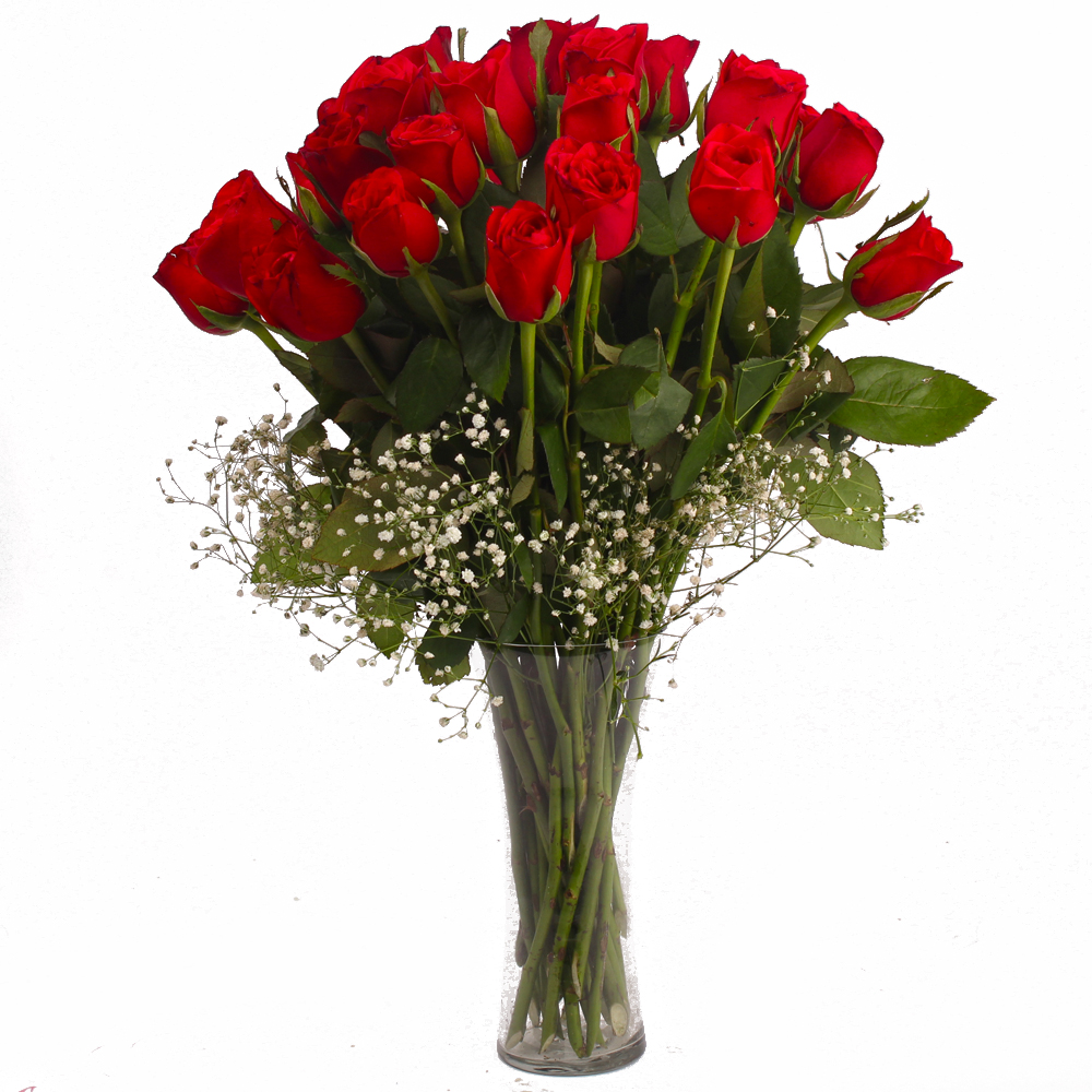 Twenty Five Fresh Red Roses in Vase