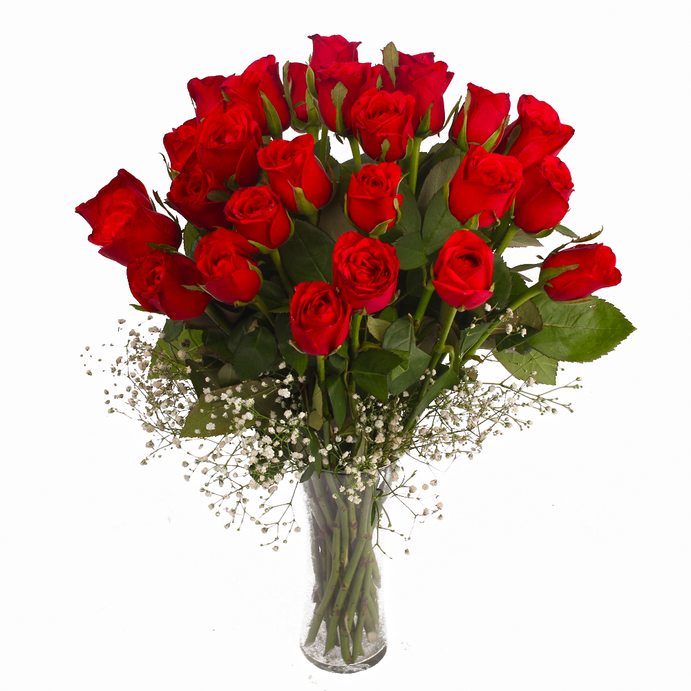 Twenty Five Fresh Red Roses in Vase