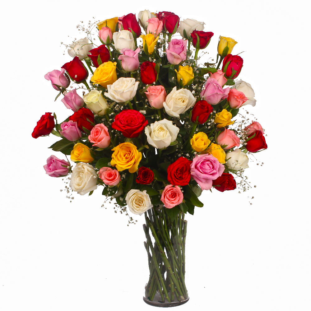 Sixty Colorful Roses in a Vase