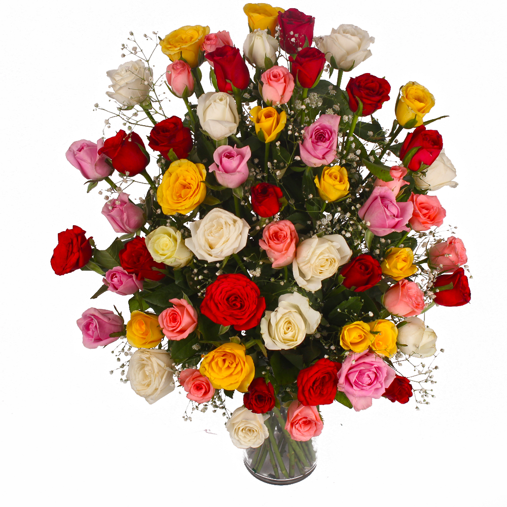 Sixty Colorful Roses in a Vase