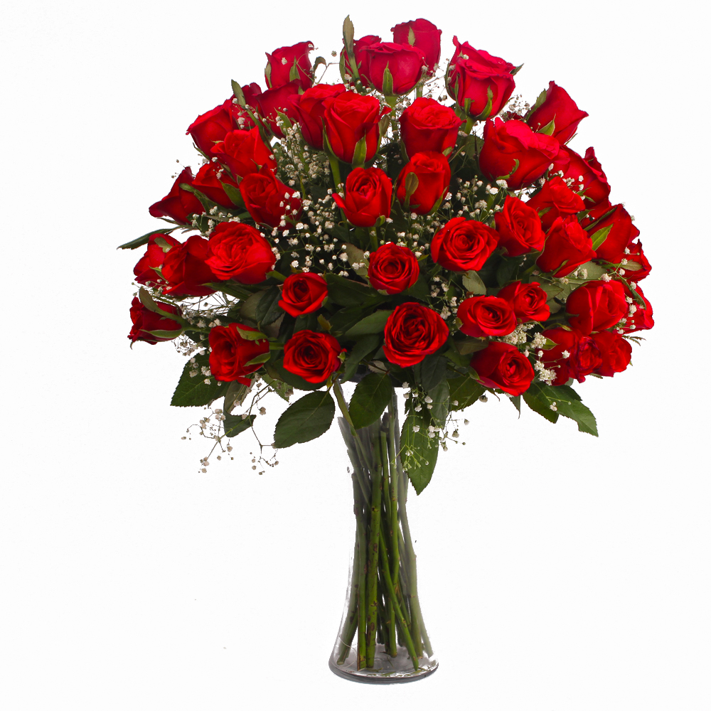 Fifty Red Roses Arranged in Vase