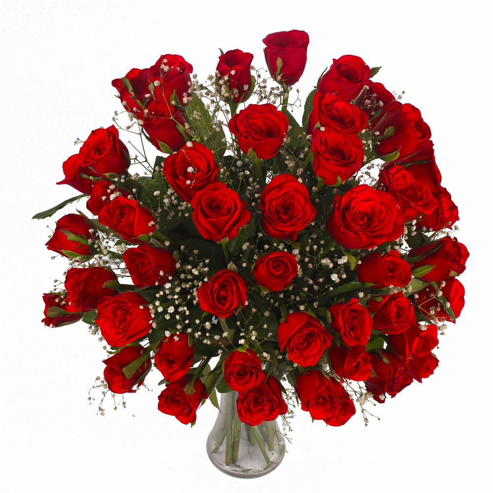 Fifty Red Roses Arranged in Vase