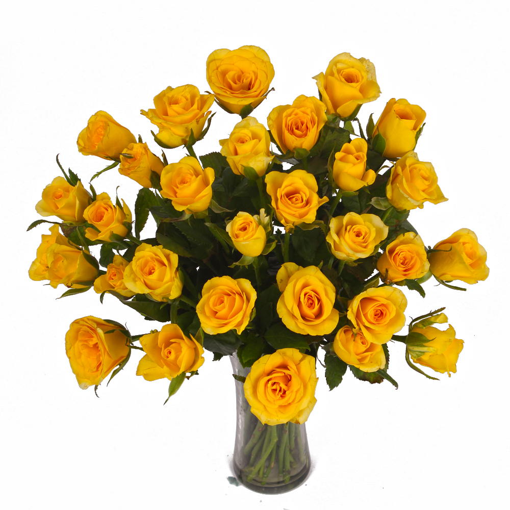 Thirty Yellow Roses in Glass Vase