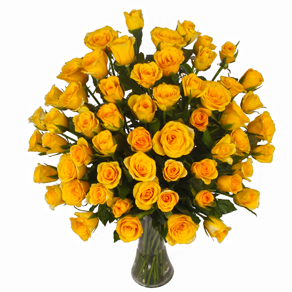 Seventy Yellow Roses in Glass Vase