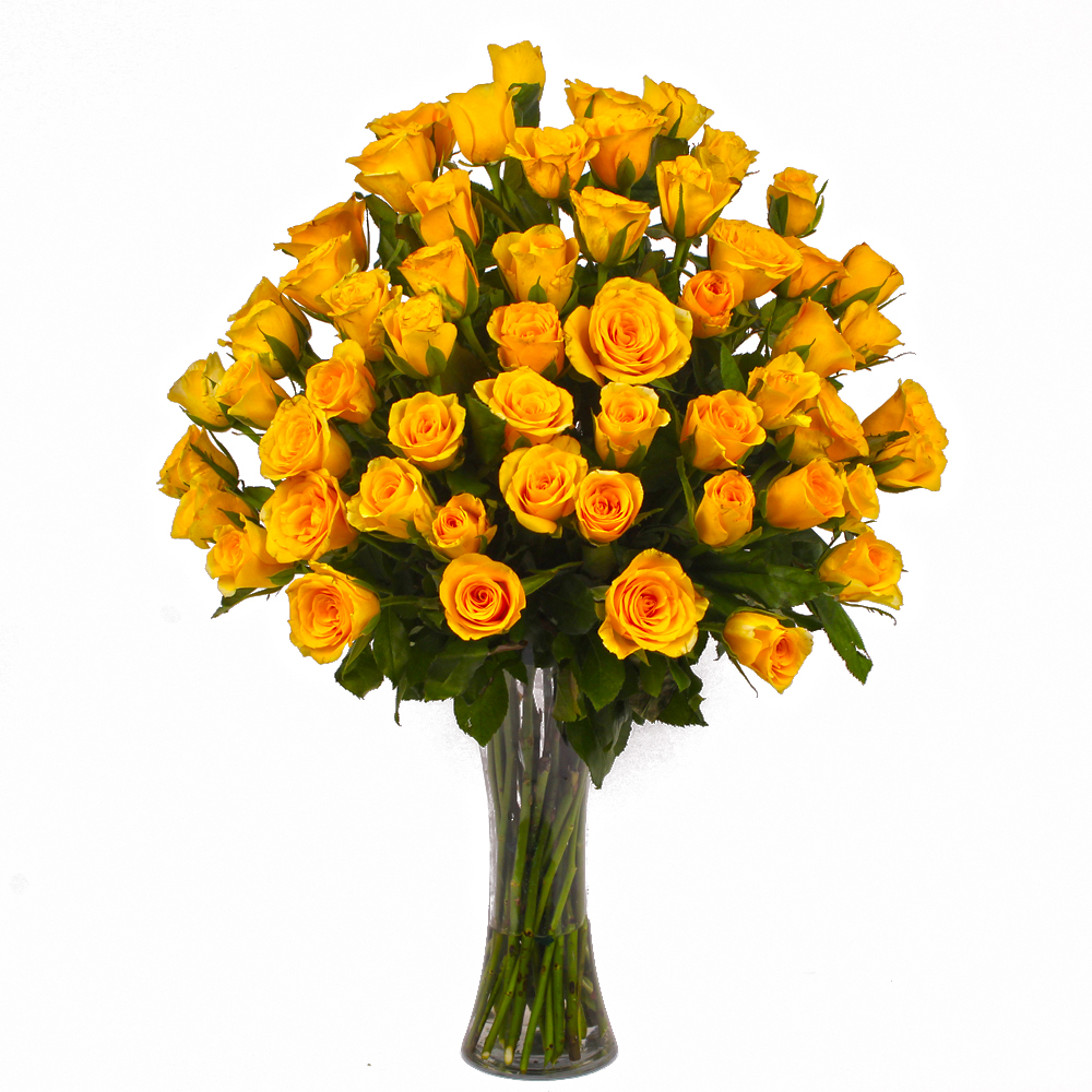 Seventy Yellow Roses in Glass Vase