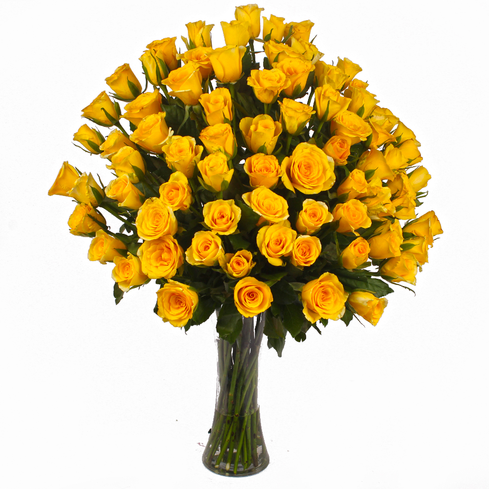 Seventy Five Yellow Roses in a Glass Vase